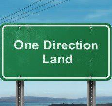 One Direction Land