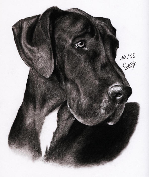 Great dane by ManiaAdun on DeviantArt
