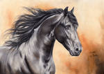 Friesian Horse IV Reupload by ManiaAdun