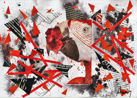 Parrot collage