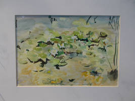 Water lilies