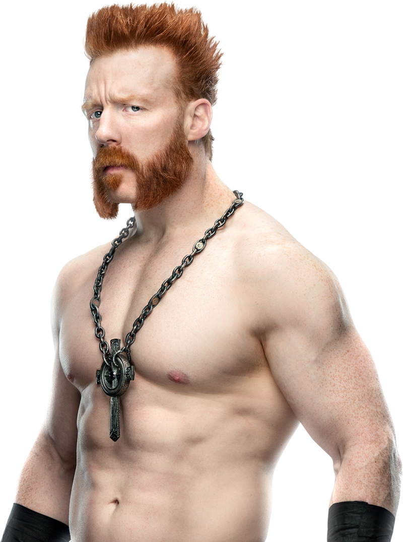 Buy WWE Sheamus Retro App Action Figure Online at Low Prices in India Buy WWE Sheamus Retro App Action Figure Online at Low Prices in India