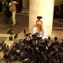 Pigeon Attack?