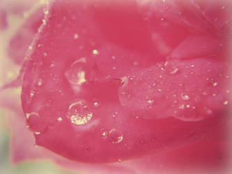 Water Droplets 2~