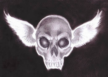 Bad skull with wings