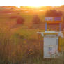 Abandoned Toy Oven