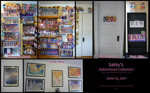 Sailor Moon Collection IX