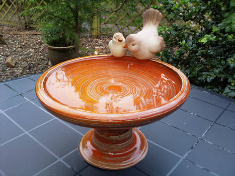 bird drinking bowl