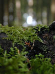 Lostgirlstock 23 by lostgirl-stock
