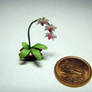 Miniature Origami Orchids