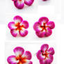 FOR SALE Pink polymer clay flowers posts v5