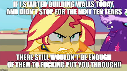 Angry Sunset Shimmer Meme