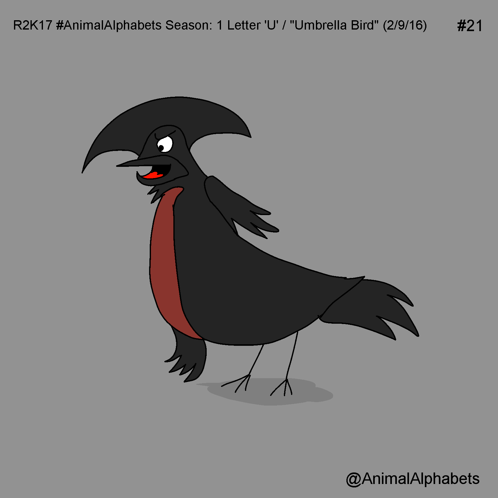 AnimalAlphabets Season I *Umbrella Bird* by ROBLOXO2017 on DeviantArt AnimalAlphabets Season I *Umbrella Bird* by ROBLOXO2017 on DeviantArt