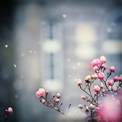 15sct Kqyw2q3iozbguqkugfjeg5sckzsew 400x400 By Iceykim On Deviantart 15sct Kqyw2q3iozbguqkugfjeg5sckzsew 400x400 By Iceykim On Deviantart