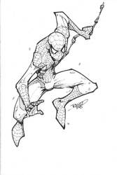 Another Spidey...