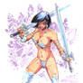 Commission Warrior Princess