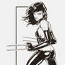 High Res Inks X23