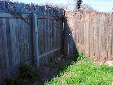 Fence