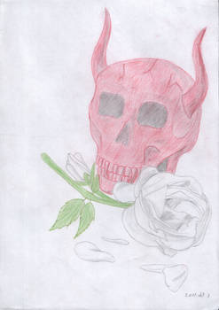 Red skull and white rose