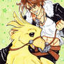 Squall and Chocobo