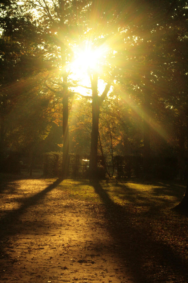 autumnal england