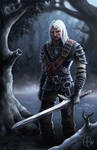 The Witcher by AlvinHew