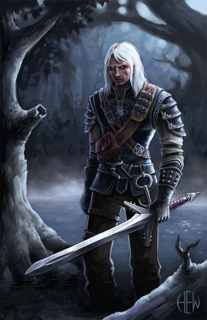 The Witcher