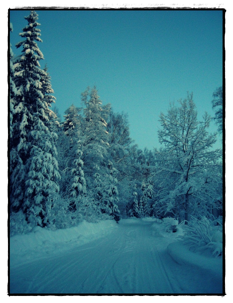 Home snowy home