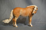 Haflinger Fohn Artist Resin by Izzadorable