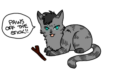 Warrior Cats- Jayfeather- My Stick!!