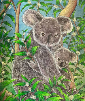 Kerby Rosanes Fragile World Koala