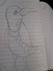 Raven  drawing
