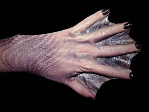 Mermaid Hand Prosthetic Test 1