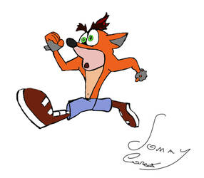 Crash Bandicoot Toon