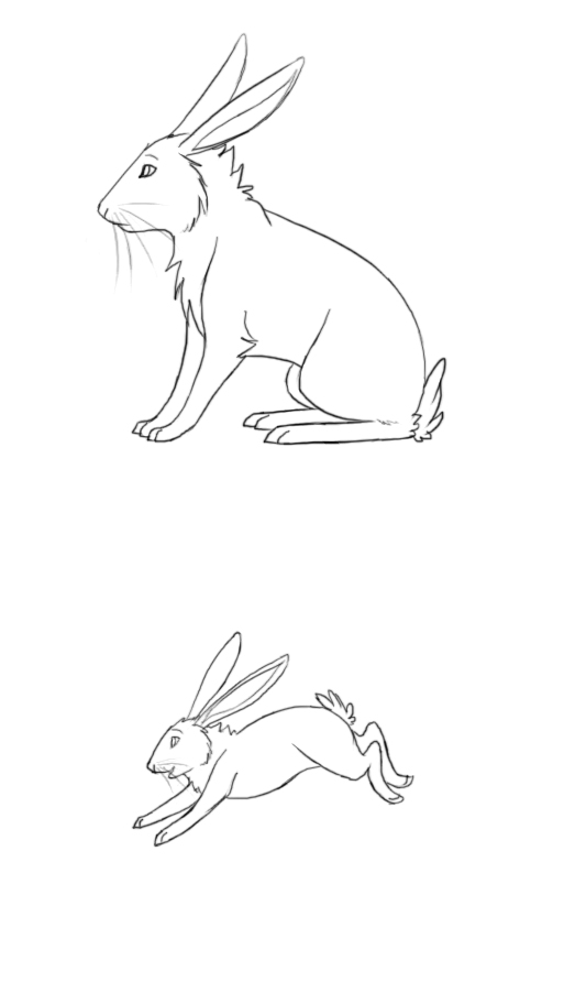 Rabbit lineart