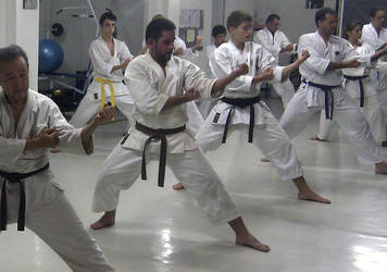 Shotokan