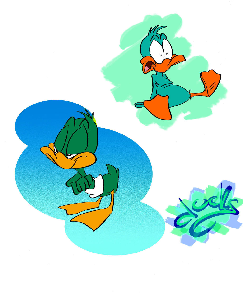 Ducks