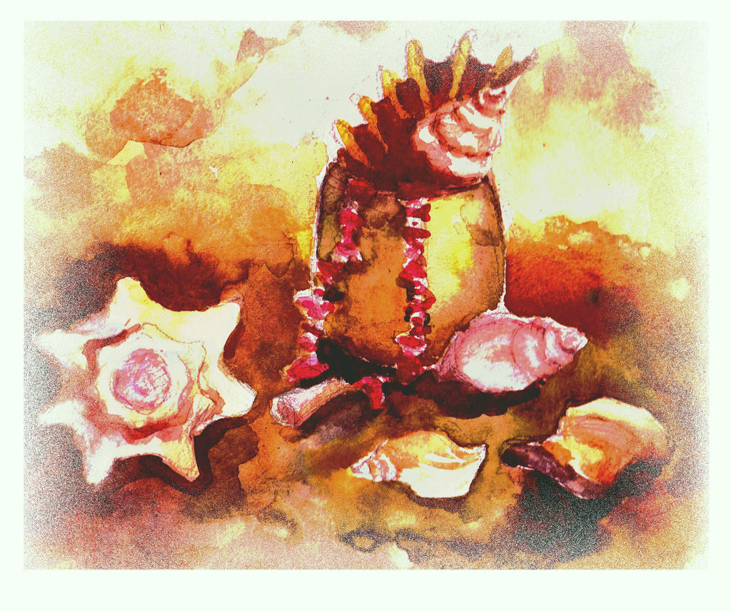 Still life with shells by JuneDuck21 on DeviantArt