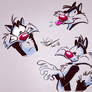 Sylvester the cat