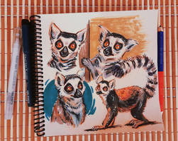 Lemur 2