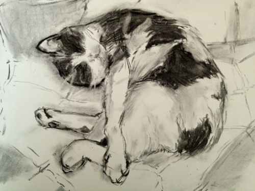 Callie Kitty Charcoal