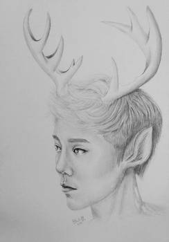 Wilderness - Luhan