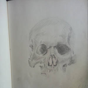 Skull Study