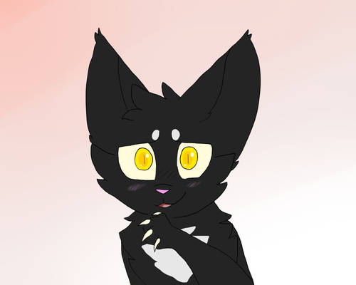 Ravenpaw doodle