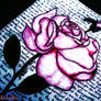 My Rose