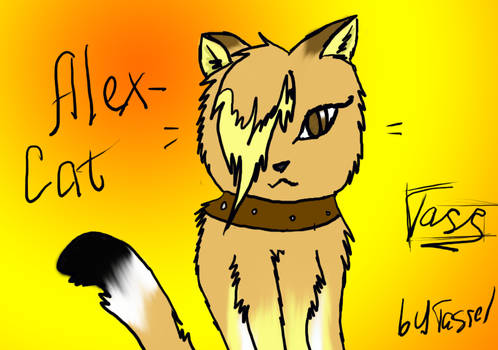 Alex-cat