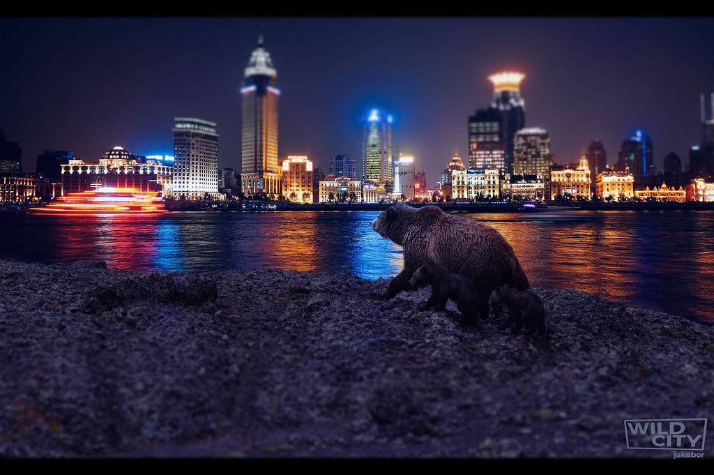 Wild CITY by Jakubor on DeviantArt