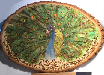 Pyrography - Peacock