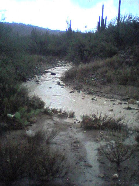Desert River by JustKidding16 on DeviantArt