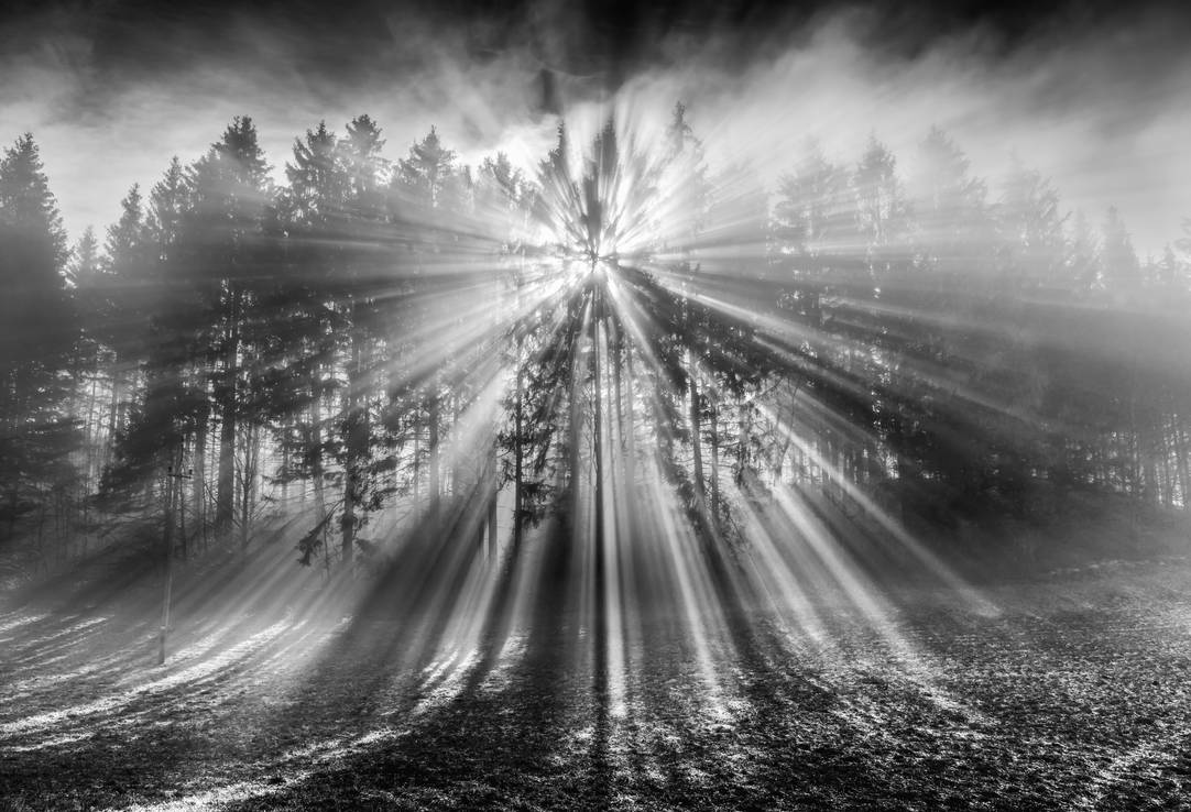 Lumen by CaveCanem42 Lumen by CaveCanem42